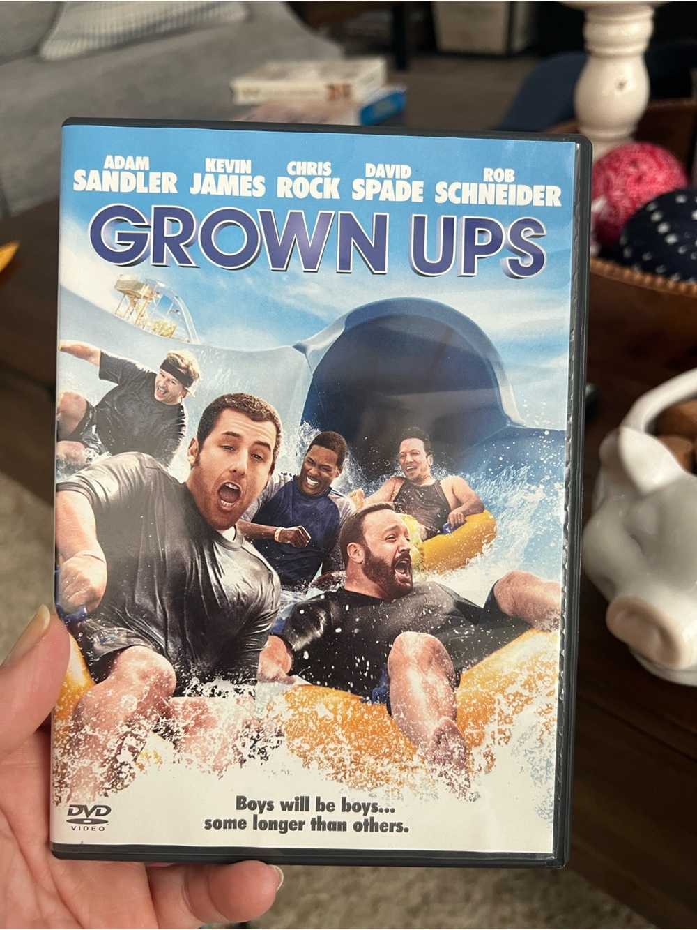 Grown Ups DVD — Blue Cover